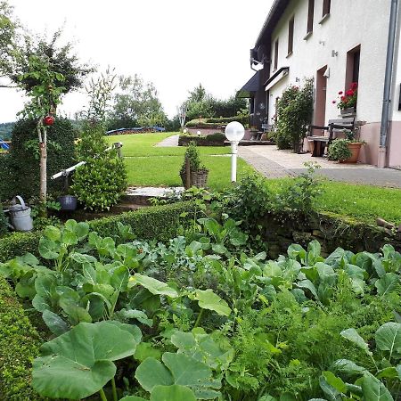 Ferienwohnung Huegelhaus Plütscheid 外观 照片